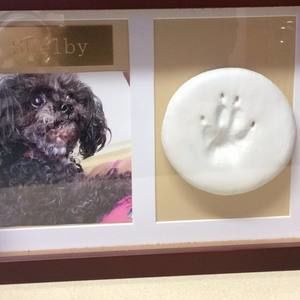 Meet your Posher, Gloria